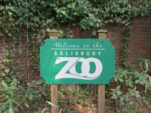 Salisbury Zoobilee